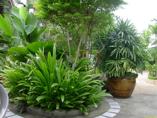 PICT4406.jpg