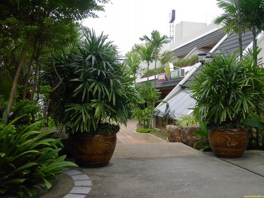 PICT4407.jpg