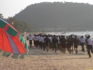 PICT3882.jpg