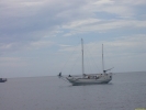 Filename=PICT4053.jpg
Filesize=620KiB
Dimensions=1600x1200
Date added=May 01, 2004 PICT4053.jpg