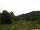PICT4091.jpg