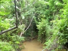 PICT4093.jpg
