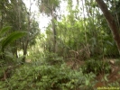 PICT4101.jpg