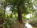 PICT4102.jpg