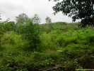 PICT4103.jpg