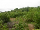 PICT4105.jpg