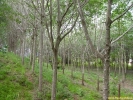 PICT4106.jpg