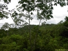 PICT4107.jpg