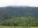 Filename=PICT4112.jpg
Filesize=138KiB
Dimensions=640x480
Date added=May 01, 2004 PICT4112.jpg