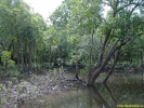 Filename=PICT4137.jpg
Filesize=333KiB
Dimensions=640x480
Date added=May 01, 2004 PICT4137.jpg