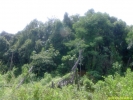 PICT4141.jpg