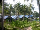 Filename=PICT4156.jpg
Filesize=1361KiB
Dimensions=1600x1200
Date added=May 05, 2004 PICT4156.jpg
