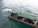Filename=PICT4174.jpg
Filesize=958KiB
Dimensions=1600x1200
Date added=May 01, 2004 PICT4174.jpg