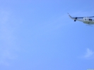 PICT4276.jpg