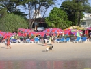 Filename=PICT4382.jpg
Filesize=1139KiB
Dimensions=1600x1200
Date added=Apr 29, 2004 PICT4382.jpg