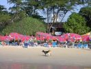 Filename=PICT4383.jpg
Filesize=1128KiB
Dimensions=1600x1200
Date added=Apr 29, 2004 PICT4383.jpg