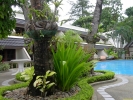 PICT4404.jpg