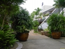 PICT4407.jpg