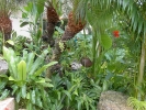 PICT4410.jpg