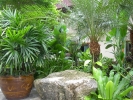 PICT4411.jpg