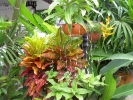 PICT4412.jpg