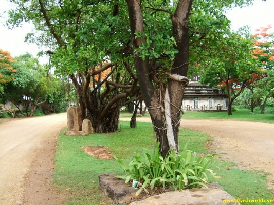 DSCF0116.jpg