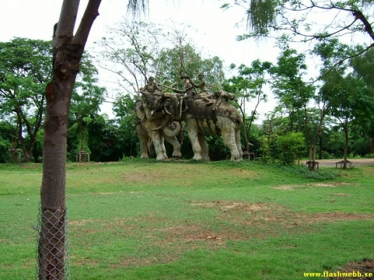DSCF0129.jpg