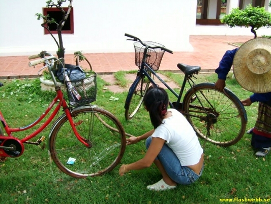 DSCF0140.jpg