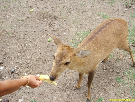 DSCF0163.jpg