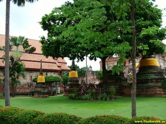 DSCF0282.jpg