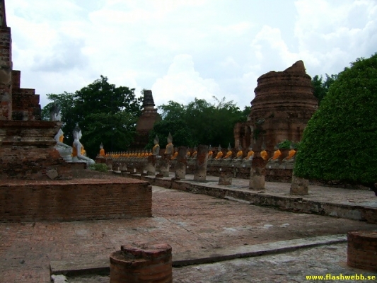DSCF0286.jpg