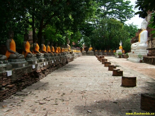 DSCF0294.jpg
