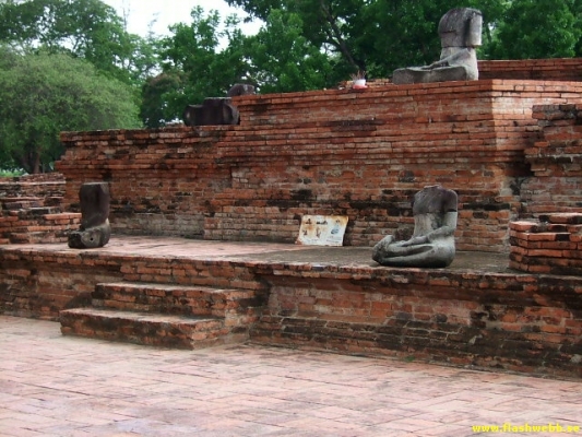 DSCF0311.jpg