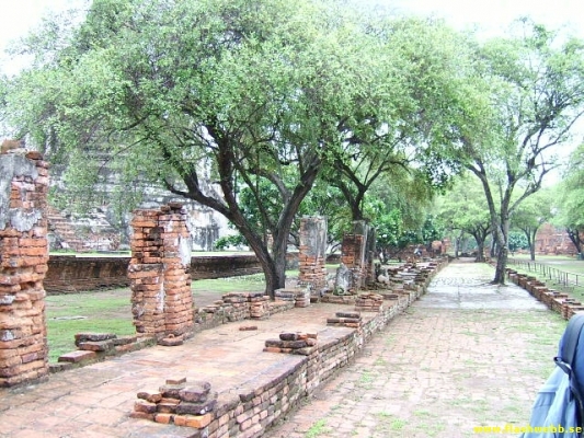 DSCF0326.jpg