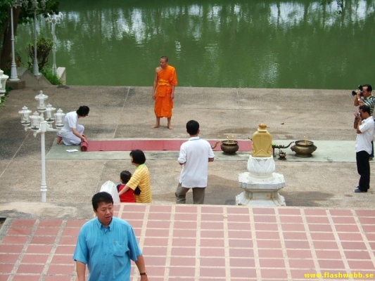 DSCF0384.jpg