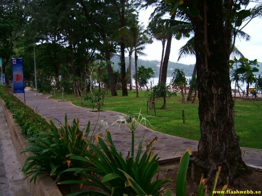 DSCF0490.jpg