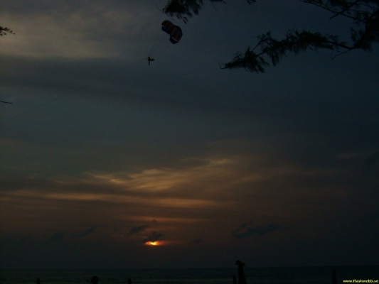 DSCF0557.jpg
