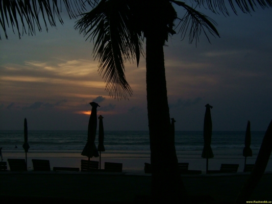 DSCF0560.jpg