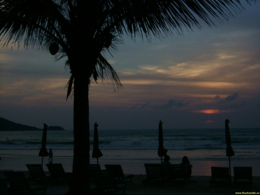DSCF0561.jpg