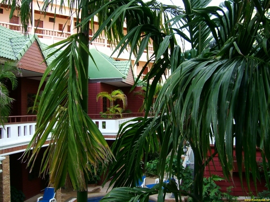 DSCF0580.jpg