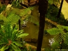 DSCF0104.jpg