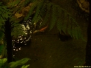 DSCF0106.jpg