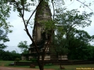 DSCF0123.jpg