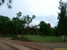 DSCF0128.jpg