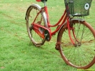DSCF0131.jpg