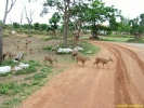 DSCF0160.jpg