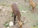 DSCF0161.jpg