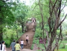 DSCF0172.jpg
