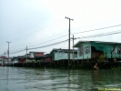 DSCF0223.jpg