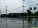 DSCF0224.jpg